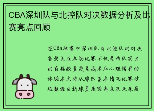 CBA深圳队与北控队对决数据分析及比赛亮点回顾